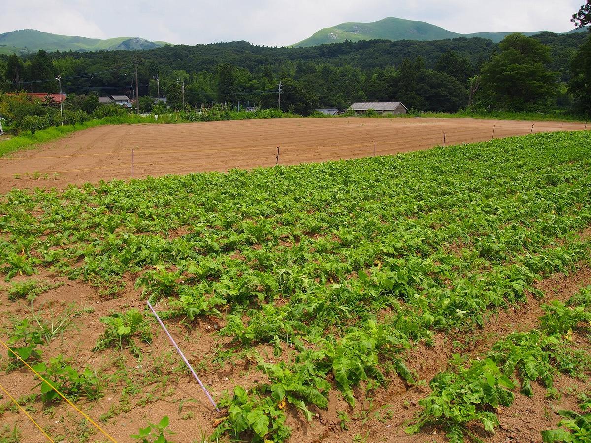 Yamano-Ie Hiraodai Kitakyushu Esterno foto
